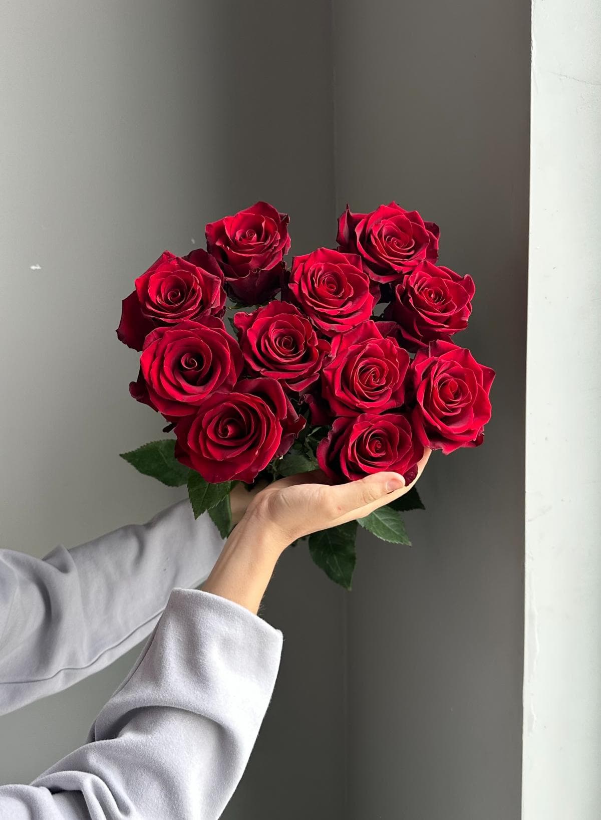 Букет #1 Розы "Эксплорер"