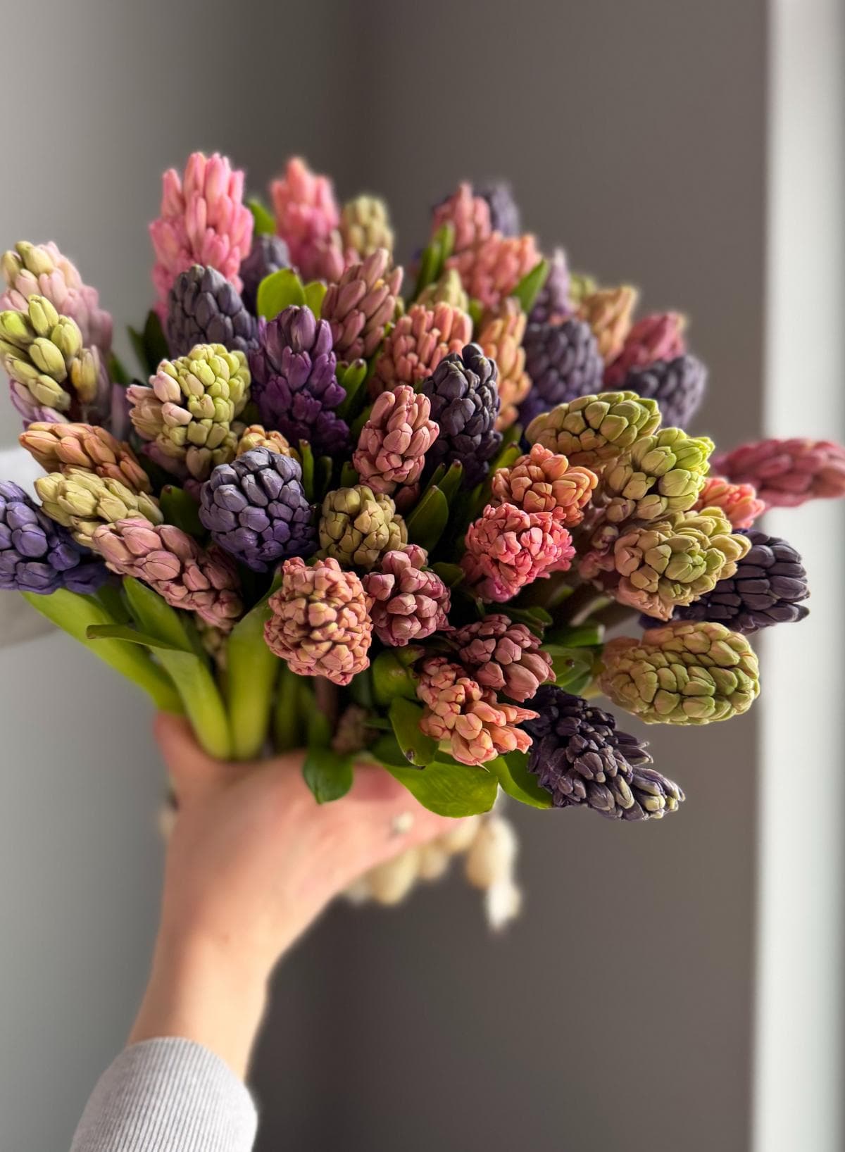 Гиацинты #810 Разноцветный Микс