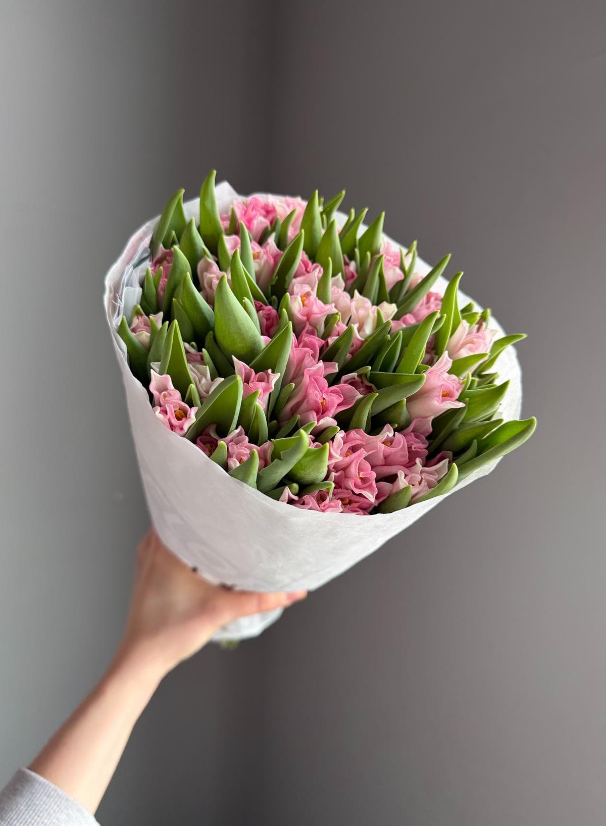 Тюльпаны #803 Кудрявый "Поцелуйчик"