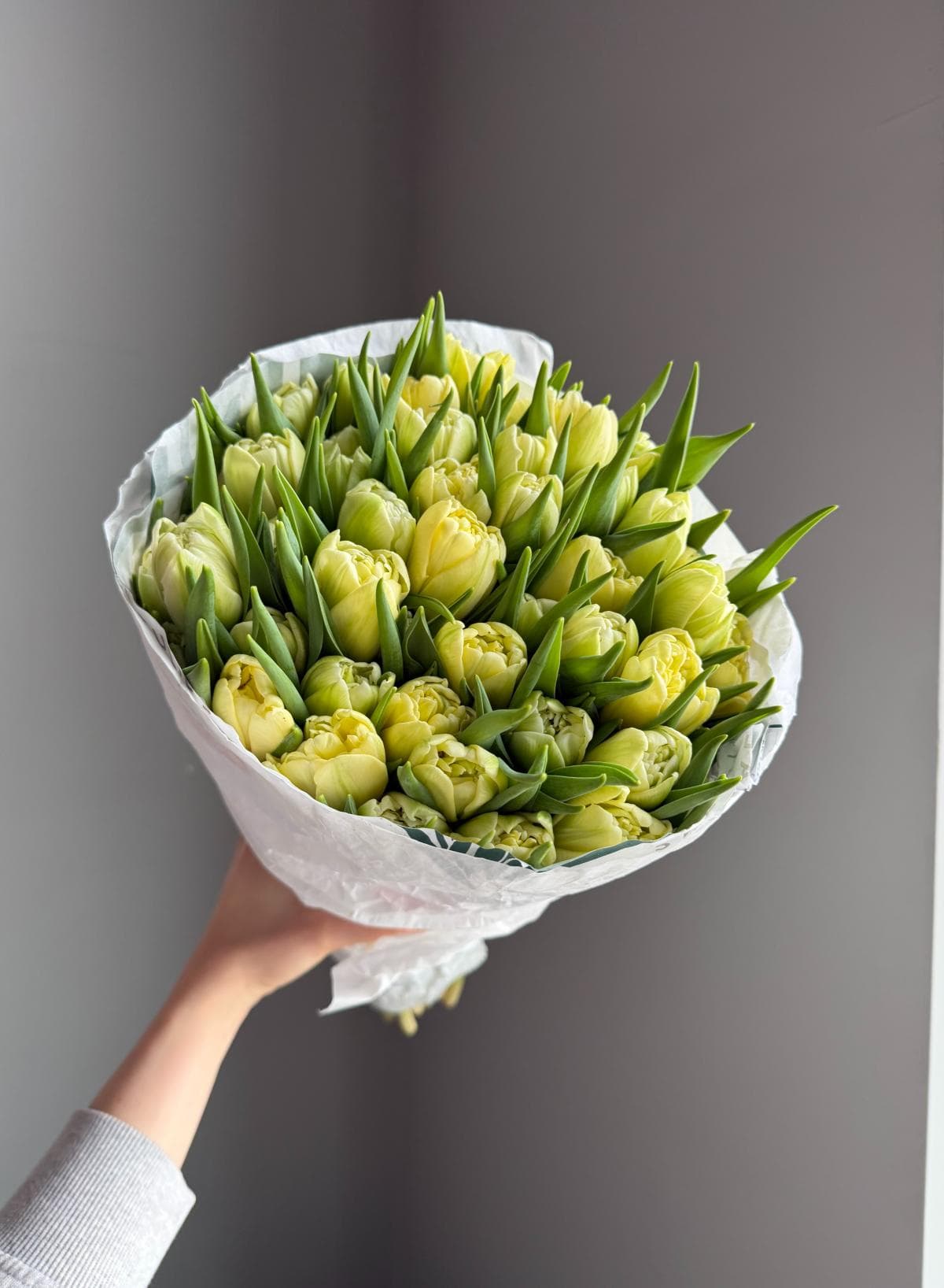 Тюльпаны #806 Пионовидный "Лимонный"