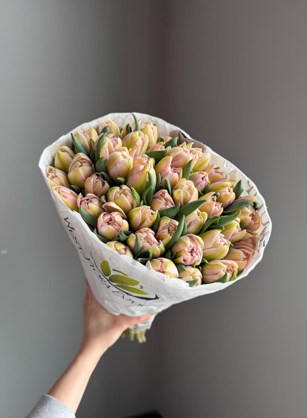 Тюльпаны #804 Экстра Пионовидный "Самбука"