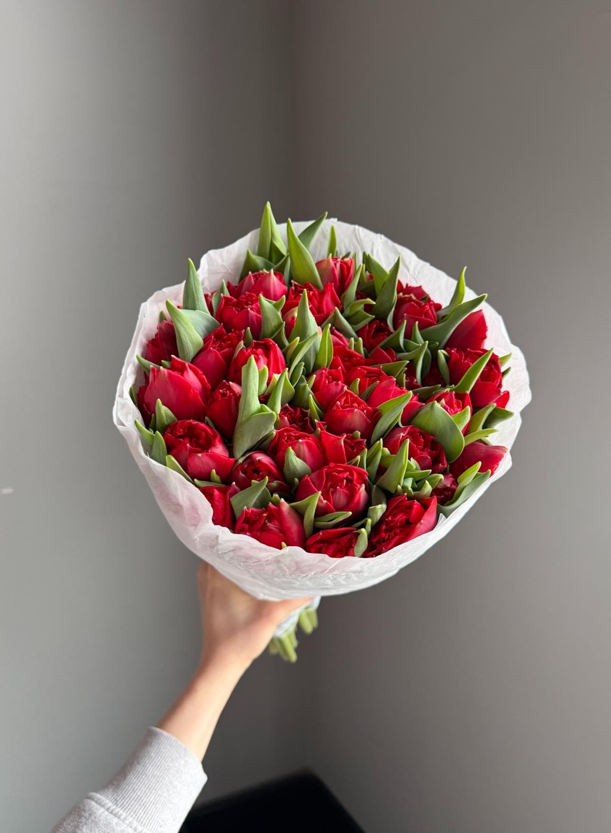 Тюльпаны #808 Пионовидные "Красные"